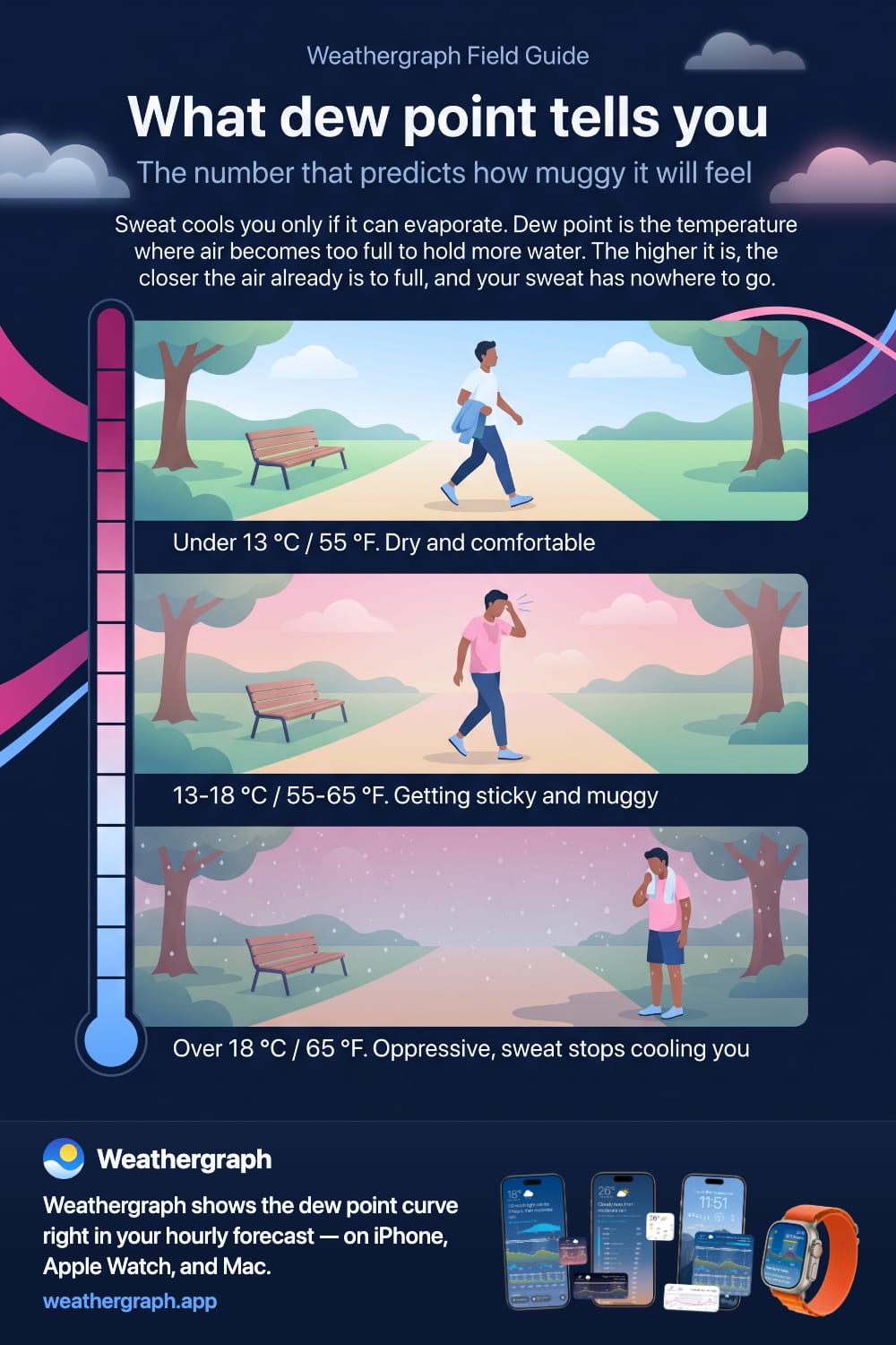 Three park scenes on one thermometer scale: a person walking comfortably in dry air, slowing in sticky air, and stopped with a towel in oppressive humid air.