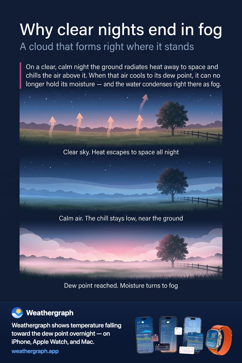 One meadow through the night: heat rising into a starry sky at dusk, cold pooling low at midnight, and fog filling the field at dawn.